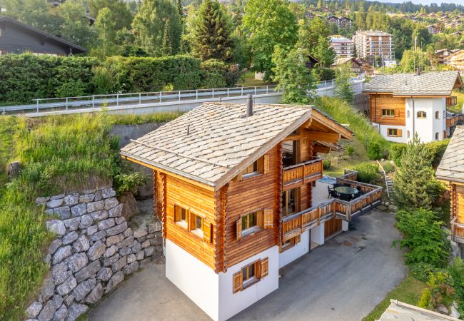 Chalet in Haute-Nendaz - Grillon - 10 pers - jacuzzi