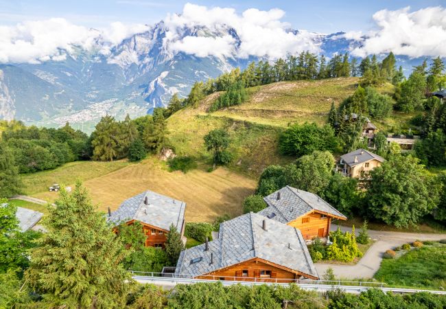 Chalet in Haute-Nendaz - Grillon - 10 pers - jacuzzi