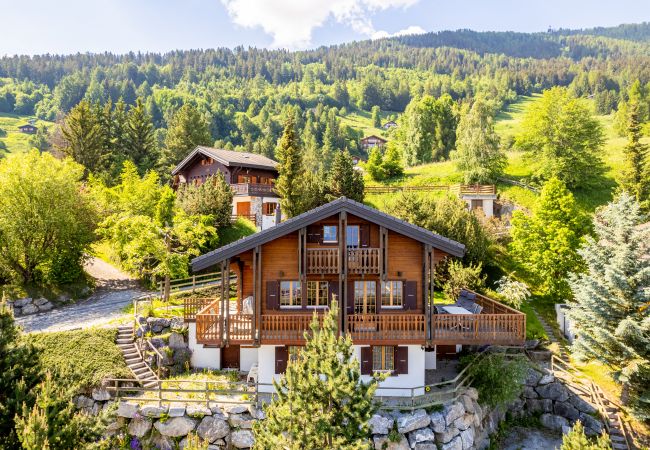 Chalet in Haute-Nendaz - Le Pacha - 6 pers - près des pistes