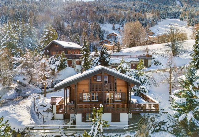 Chalet in Haute-Nendaz - Le Pacha - 6 pers - près des pistes