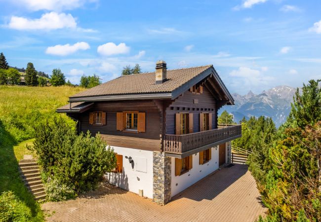 Chalet in Haute-Nendaz - Gisèle - 8 pers - près des pistes