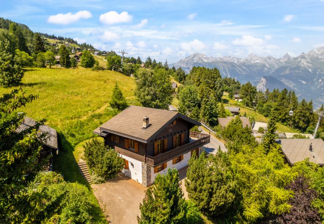 Chalet in Haute-Nendaz - Gisèle - 8 pers - près des pistes