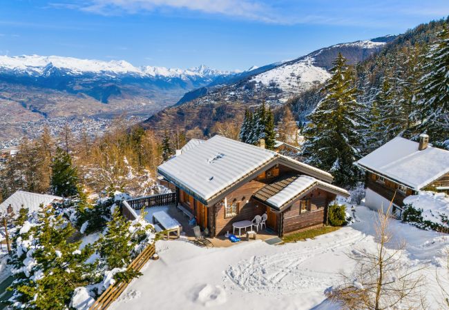 Chalet in Haute-Nendaz - Gisèle - 8 pers - près des pistes