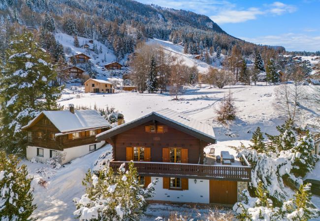 Chalet in Haute-Nendaz - Gisèle - 8 pers - près des pistes