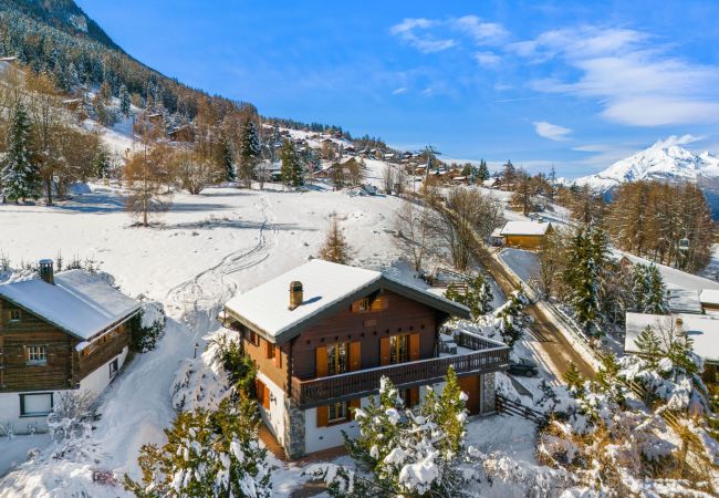 Chalet in Haute-Nendaz - Gisèle - 8 pers - près des pistes