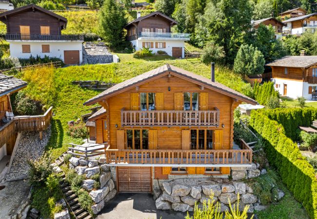 Chalet in Haute-Nendaz - Karuda - 12 pers - jacuzzi et sauna