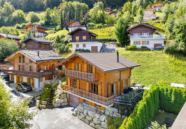 Chalet in Haute-Nendaz - Karuda - 12 pers - jacuzzi et sauna