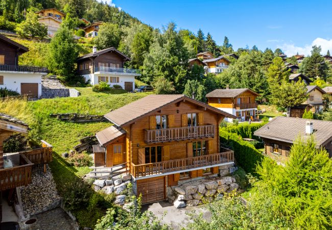 Chalet in Haute-Nendaz - Karuda - 12 pers - jacuzzi et sauna