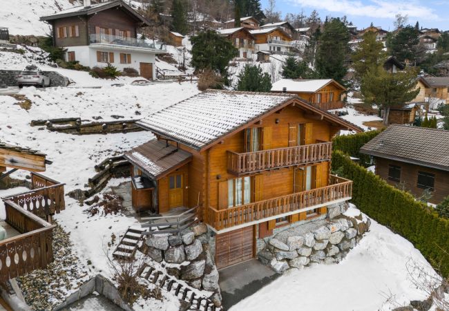 Chalet in Haute-Nendaz - Karuda - 12 pers - jacuzzi et sauna