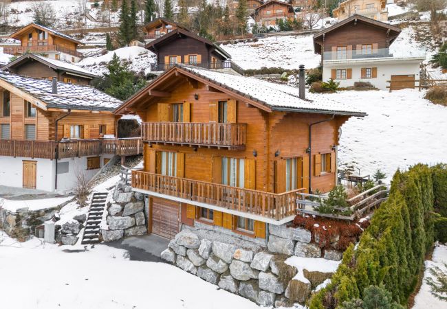 Chalet in Haute-Nendaz - Karuda - 12 pers - jacuzzi et sauna