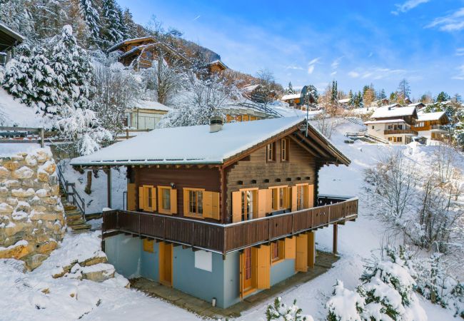 Chalet in Haute-Nendaz - Marcotte - 8 pers - belle vue