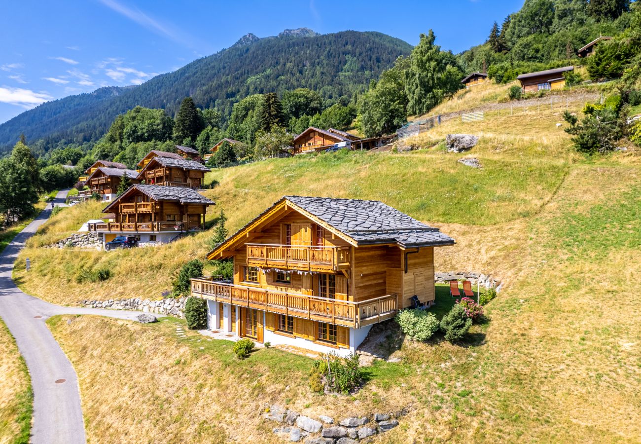 Chalet in Saclentz - Chopicalqui - 14 pers - sauna