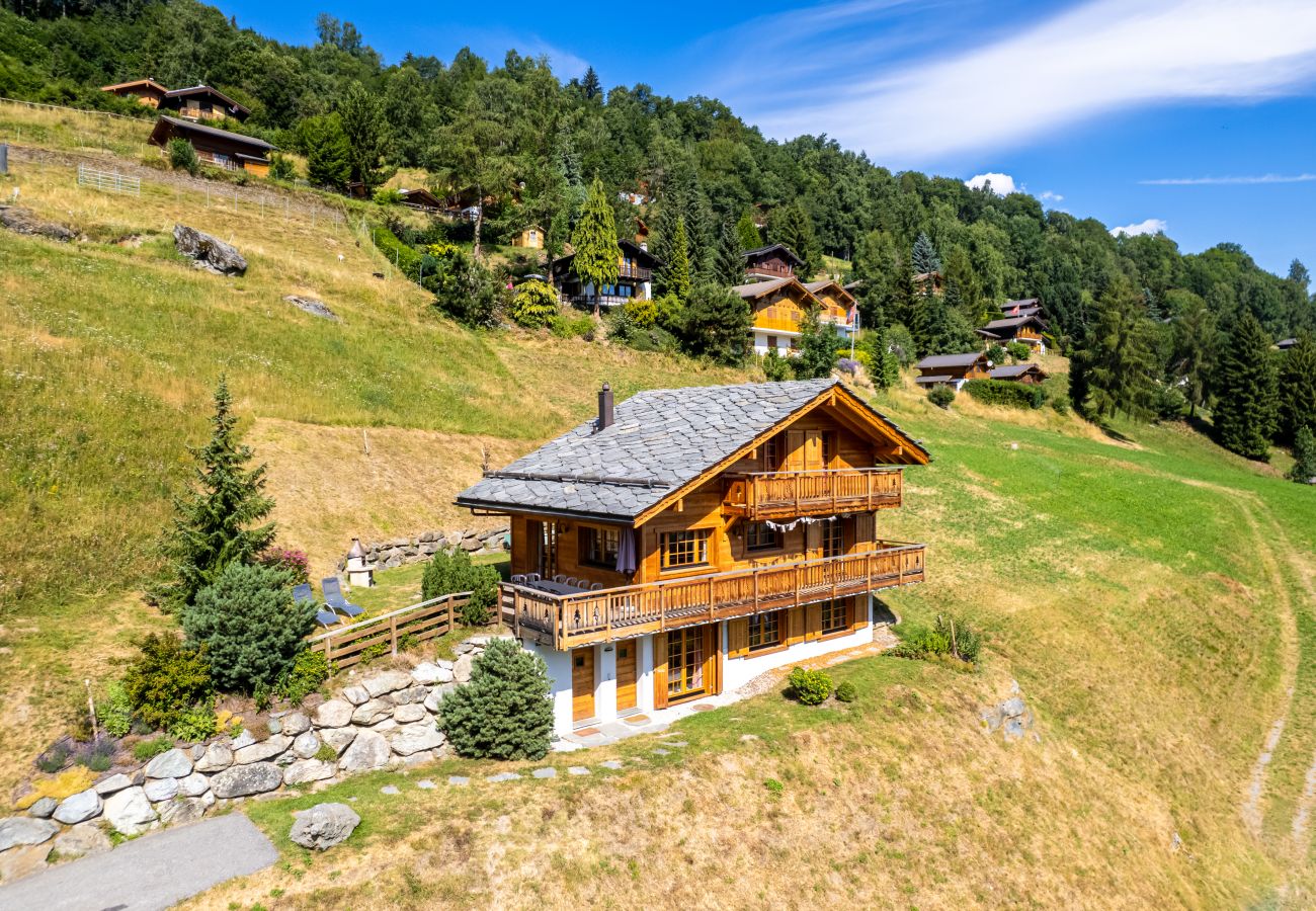 Chalet in Saclentz - Chopicalqui - 14 pers - sauna