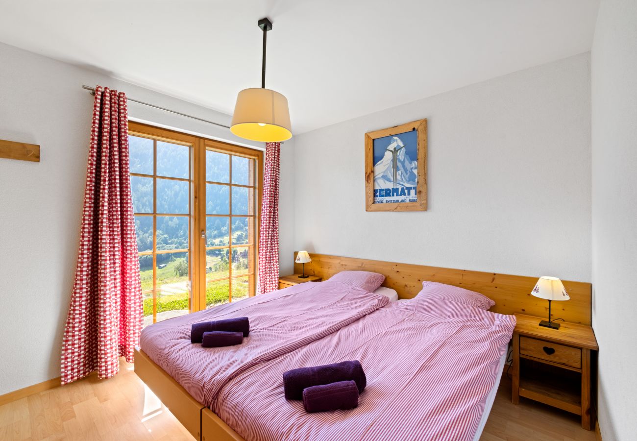 Chalet in Saclentz - Chopicalqui - 14 pers - sauna