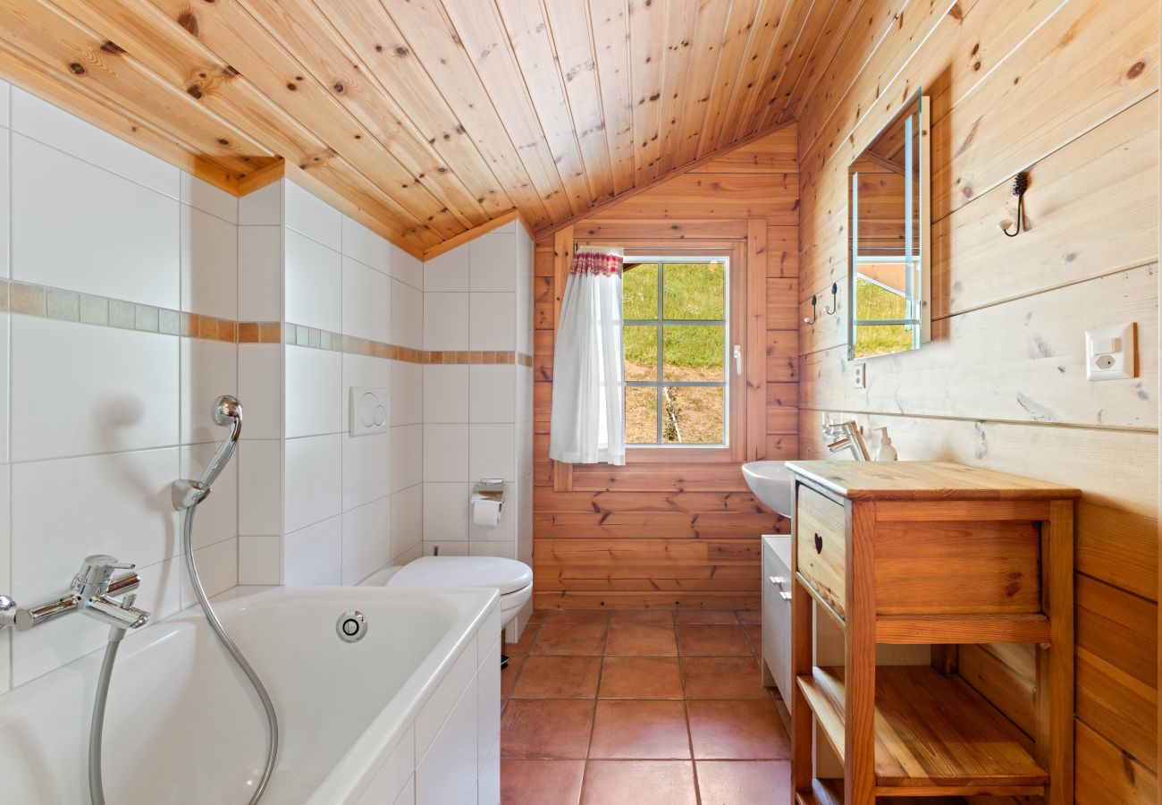 Chalet in Saclentz - Chopicalqui - 14 pers - sauna
