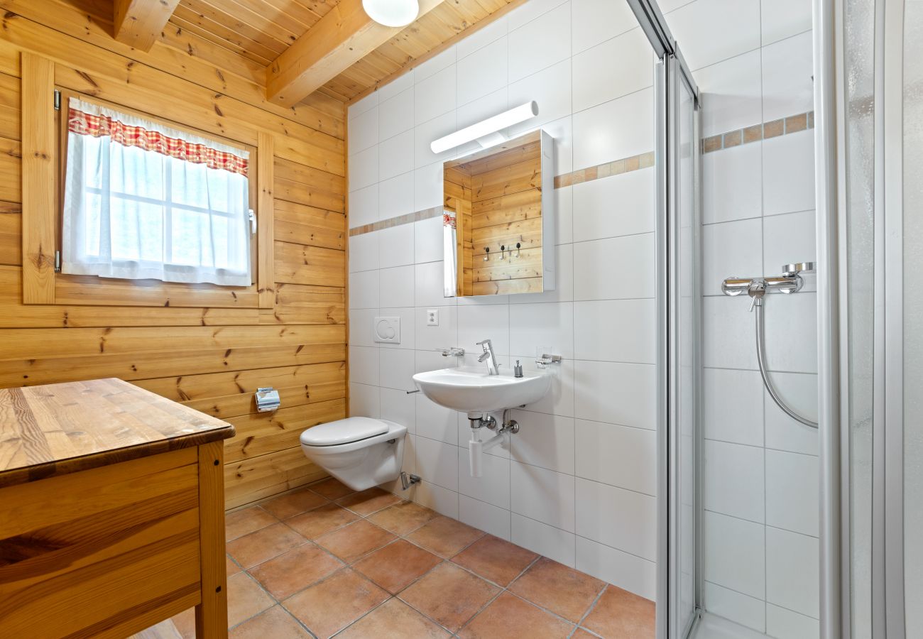 Chalet in Saclentz - Chopicalqui - 14 pers - sauna