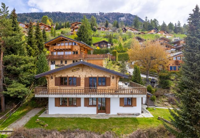 Chalet in Haute-Nendaz - Chouk-Lé - 8 pers - vue magnifique