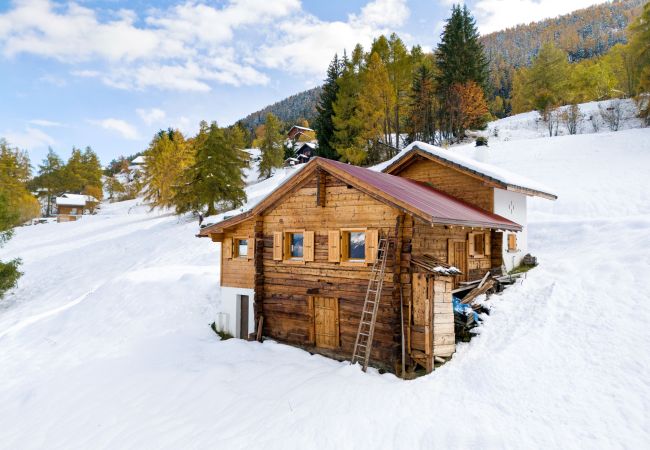 Chalet in Haute-Nendaz - Les Morilles - 5 pers - sur les pistes