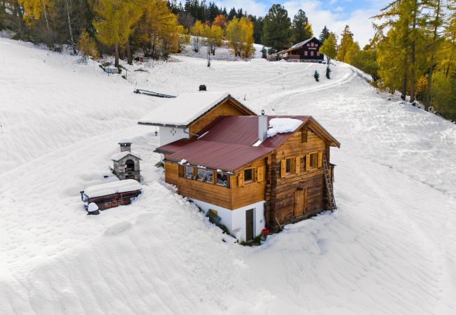 Chalet in Haute-Nendaz - Les Morilles - 5 pers - sur les pistes