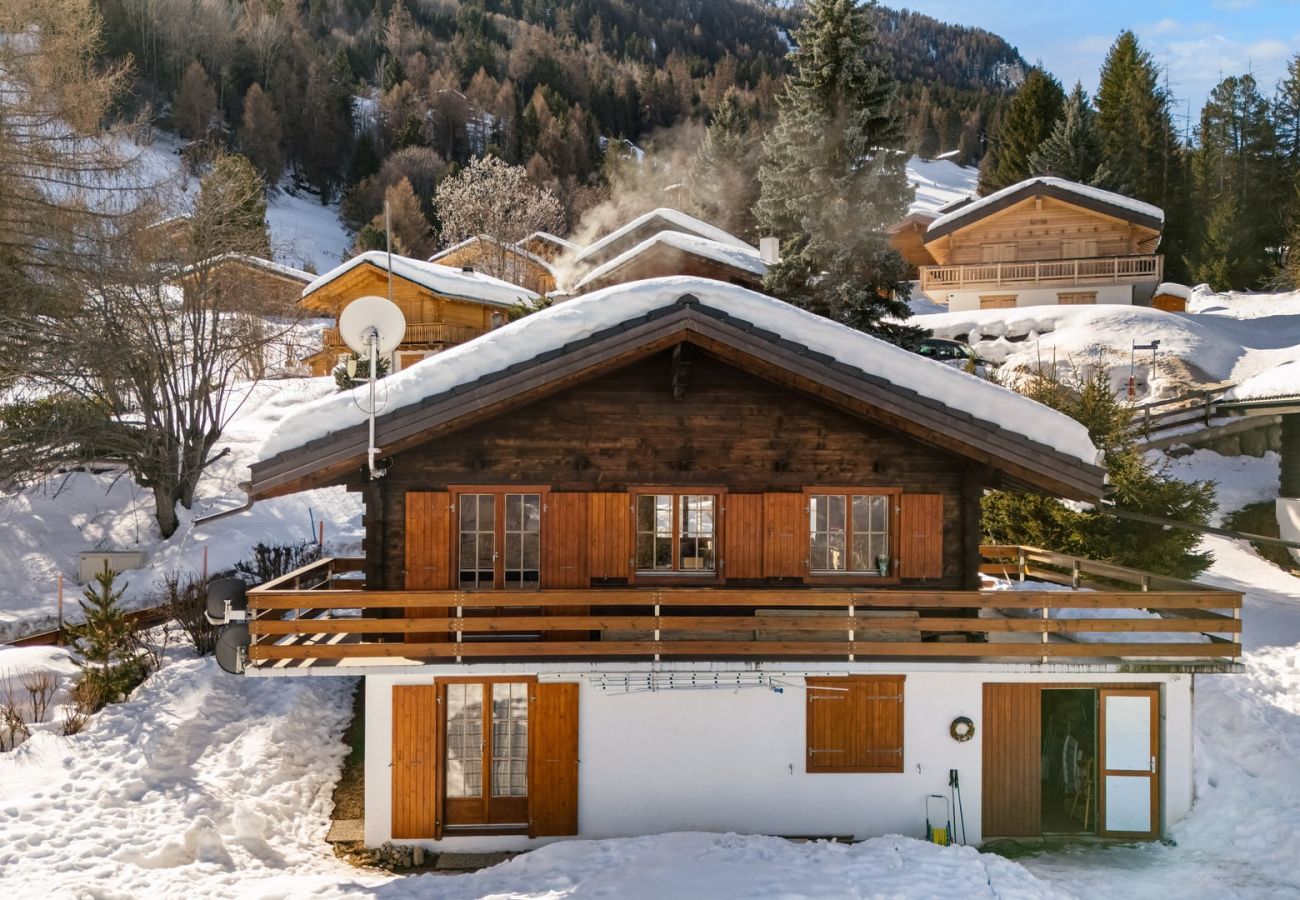 Chalet in Haute-Nendaz - Eole - 6 pers - près des pistes