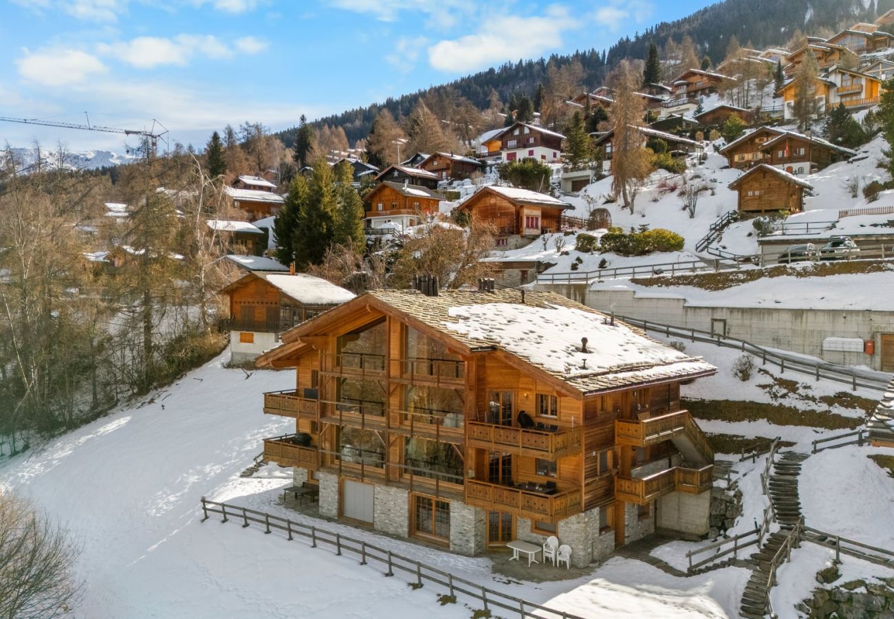 Apartment in Haute-Nendaz - Crevasse 07 - Duplex élégant & sauna privé