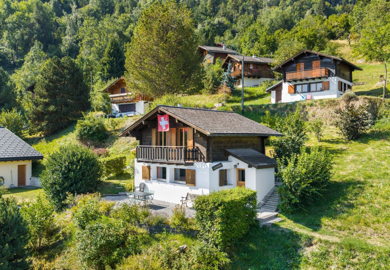 Chalet in Haute-Nendaz - Chalet Le Cagibi - 6 pers - douillet et calme