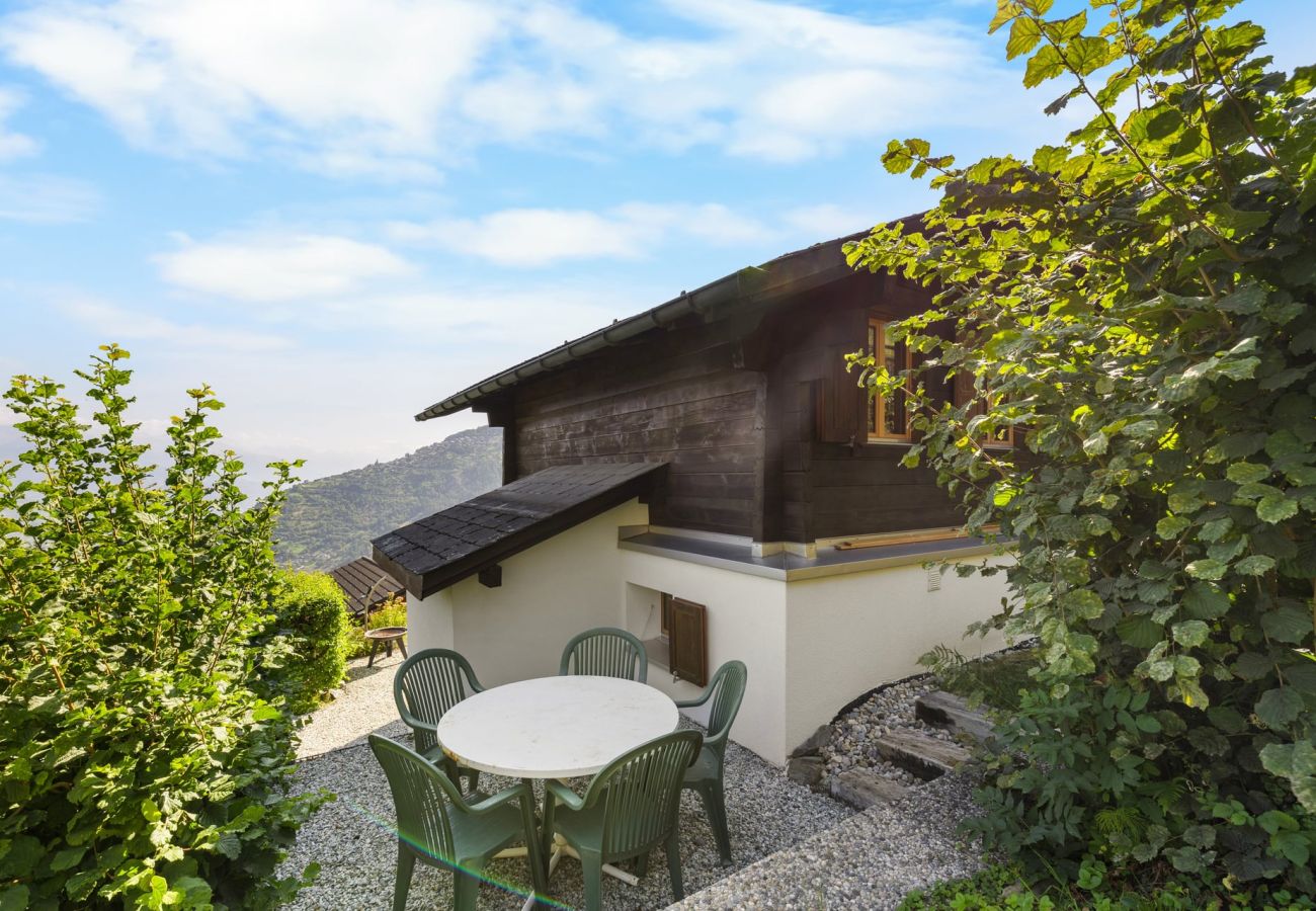 Chalet in Haute-Nendaz - Chalet Le Cagibi - 6 pers - douillet et calme