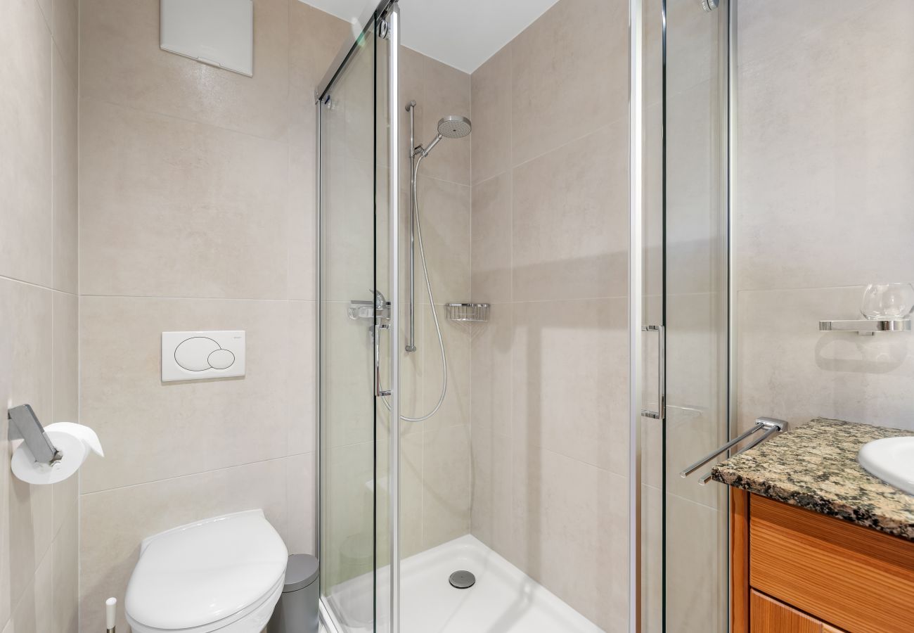 Apartment in Haute-Nendaz - Echo 8 - 7 pers - Magnifique Attique de Standing