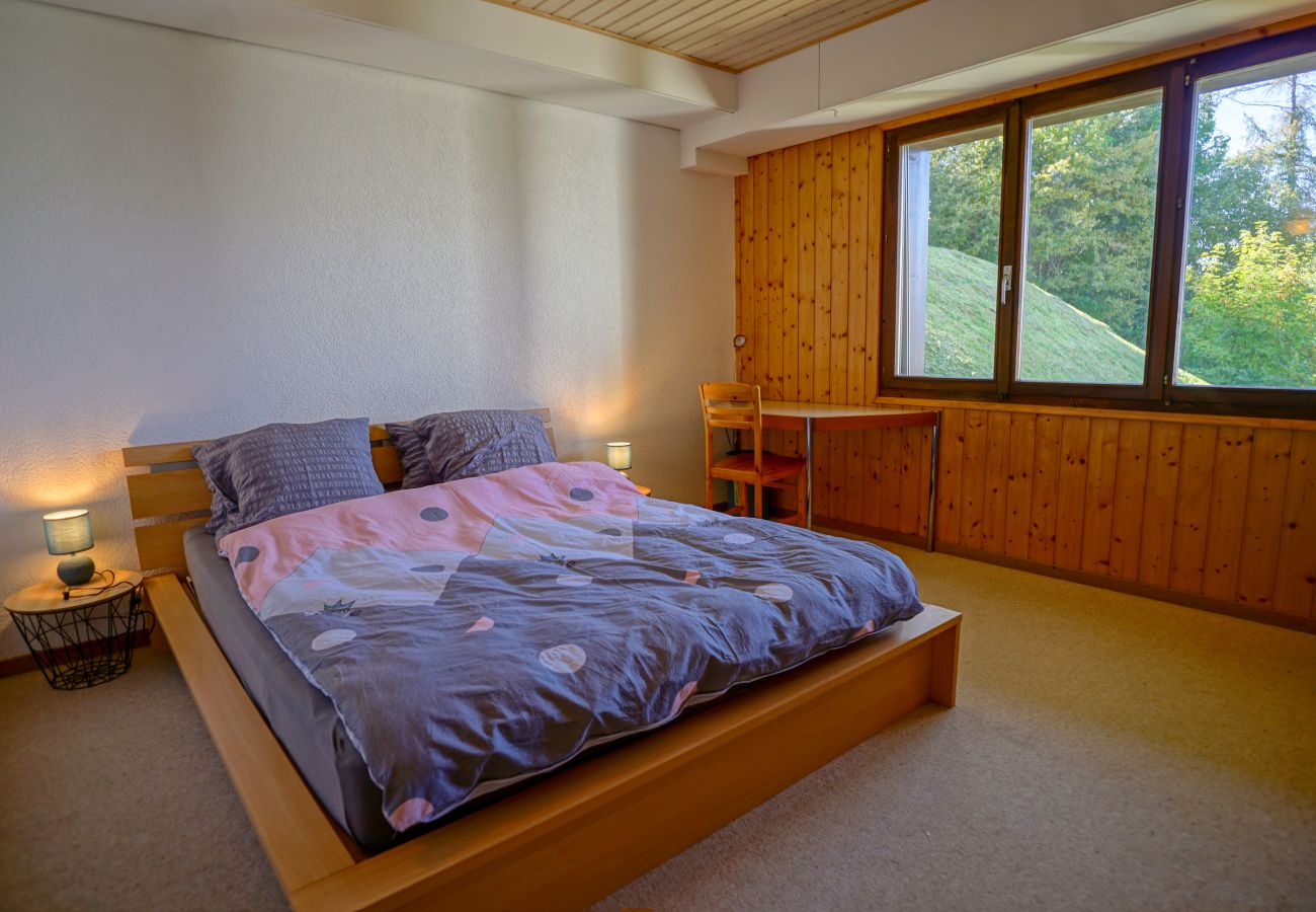 Appartamento a Haute-Nendaz - Chaëdoz 10 - LOUE