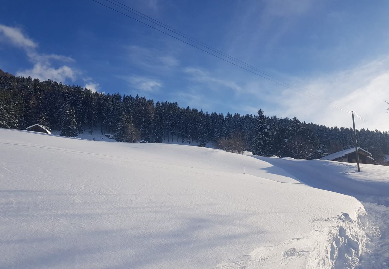 Villetta a Haute-Nendaz - Chalet Prachavio - 4-6 pers - pleine nature