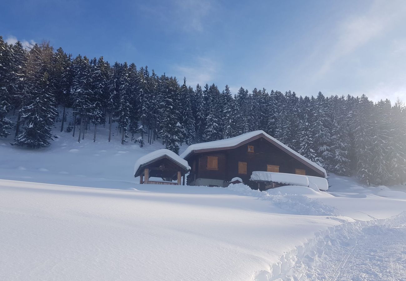 Villetta a Haute-Nendaz - Chalet Prachavio - 4-6 pers - pleine nature