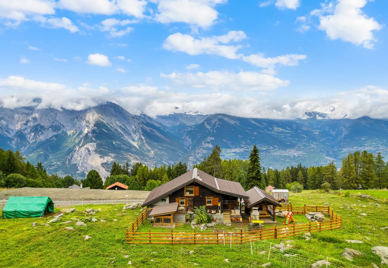 Villetta a Haute-Nendaz - Chalet Prachavio - 4-6 pers - pleine nature