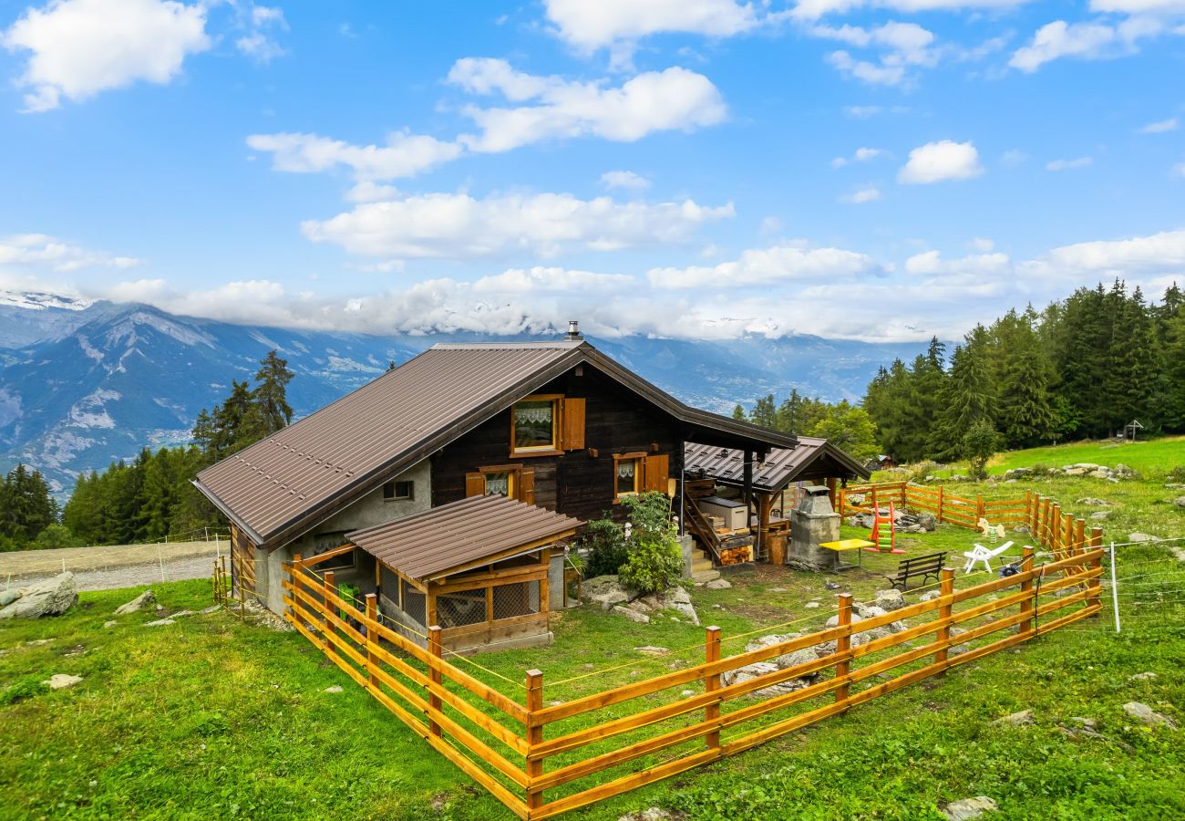 Villetta a Haute-Nendaz - Chalet Prachavio - 4-6 pers - pleine nature