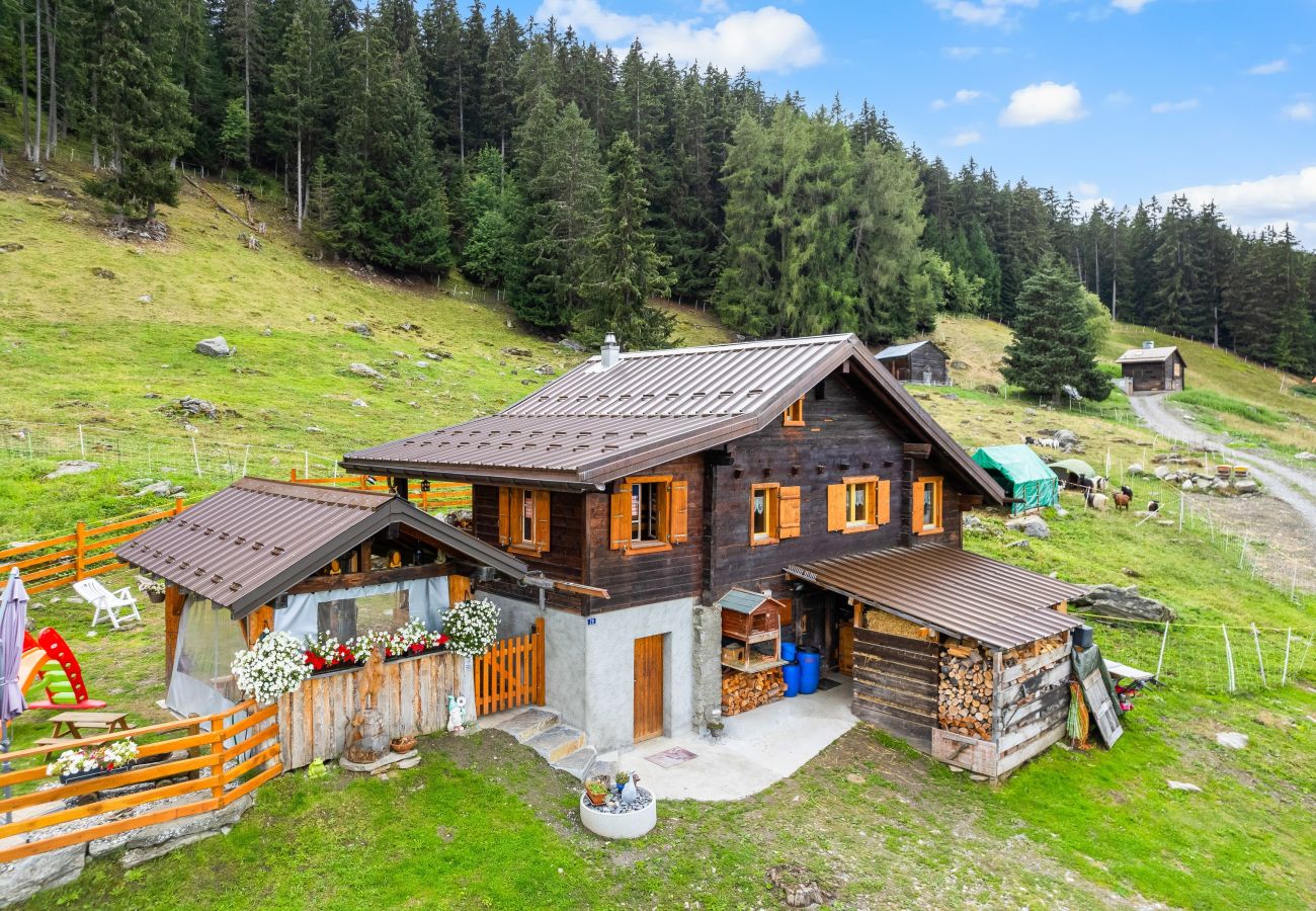 Villetta a Haute-Nendaz - Chalet Prachavio - 4-6 pers - pleine nature
