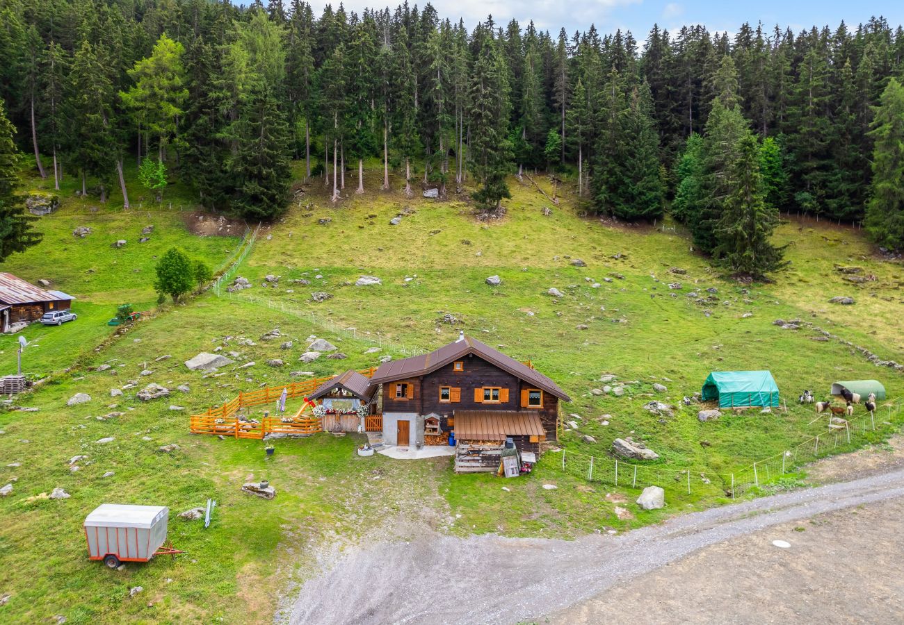 Villetta a Haute-Nendaz - Chalet Prachavio - 4-6 pers - pleine nature