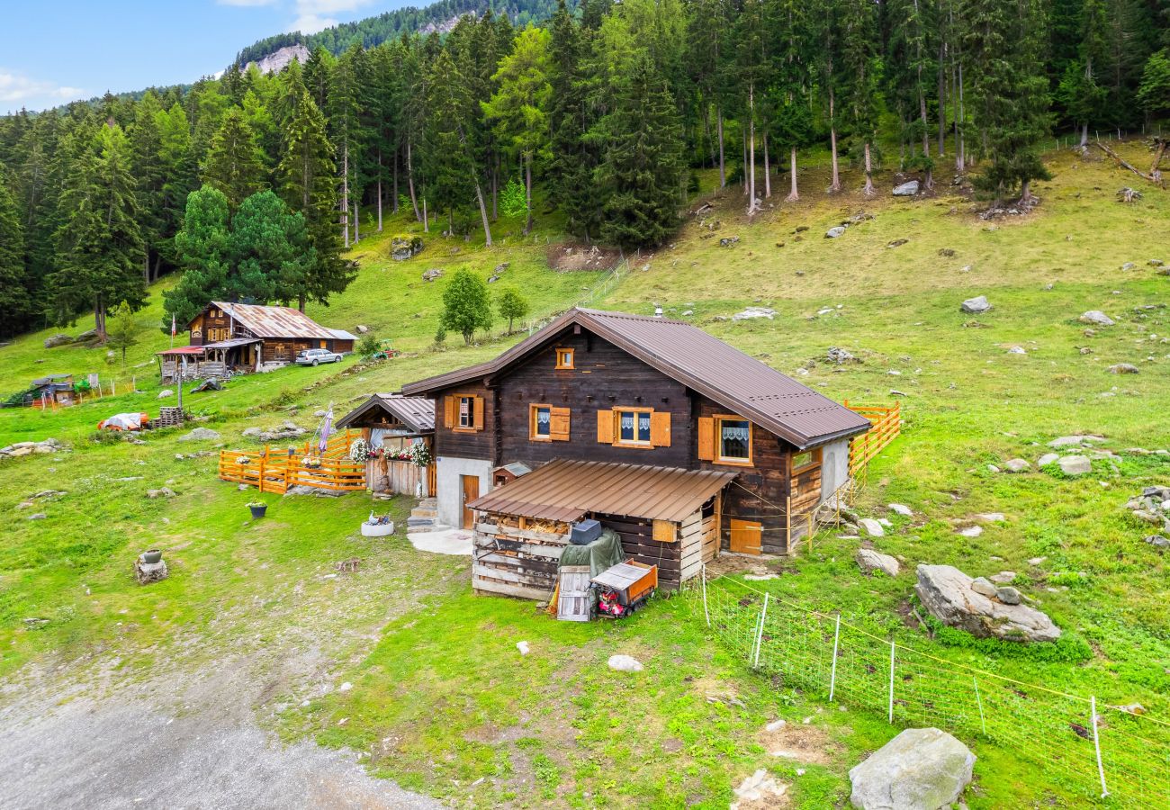 Villetta a Haute-Nendaz - Chalet Prachavio - 4-6 pers - pleine nature