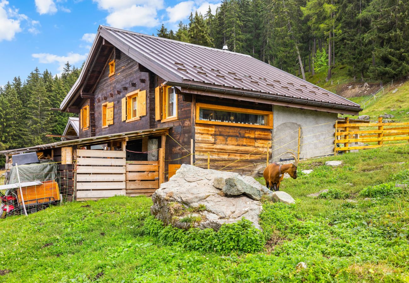 Villetta a Haute-Nendaz - Chalet Prachavio - 4-6 pers - pleine nature