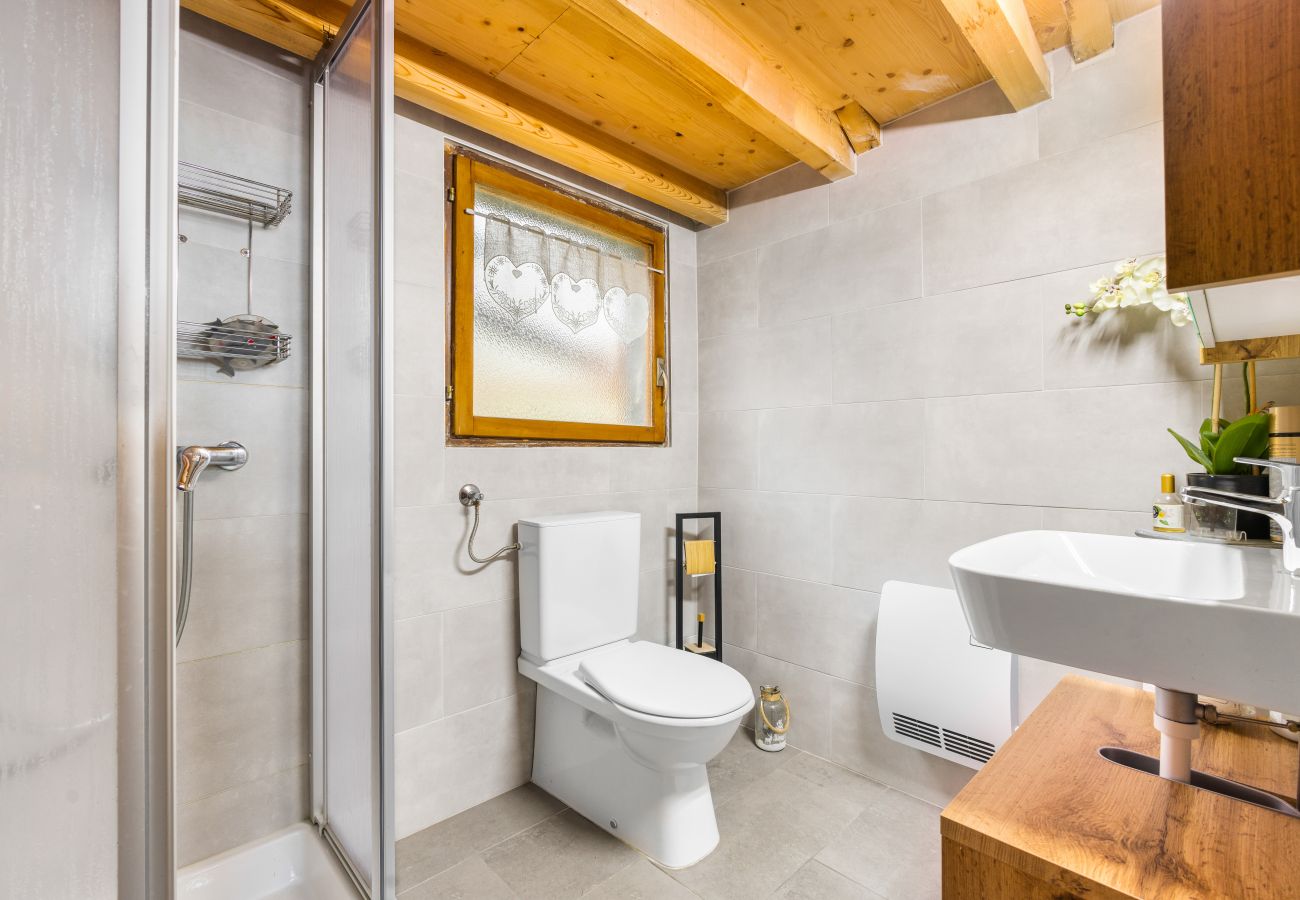 Villetta a Haute-Nendaz - Chalet Prachavio - 4-6 pers - pleine nature