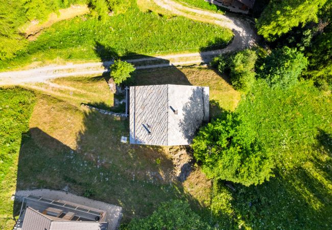 Villetta a Haute-Nendaz - AlpenRose - 8 pers - près des pistes