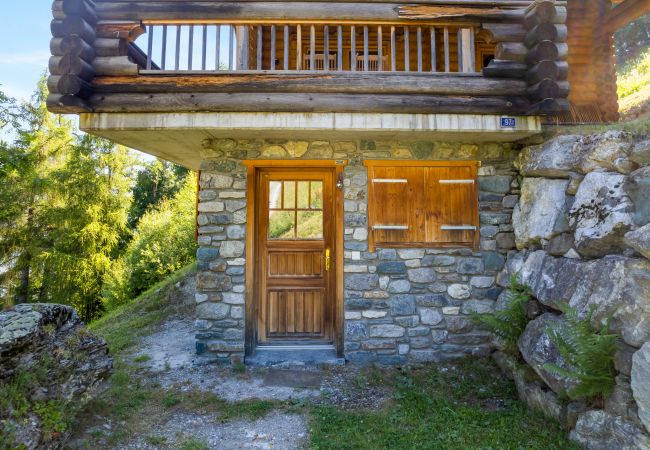 Villetta a Haute-Nendaz - AlpenRose - 8 pers - près des pistes Villetta a Haute-Nendaz - AlpenRose - 8 pers - près des pistes