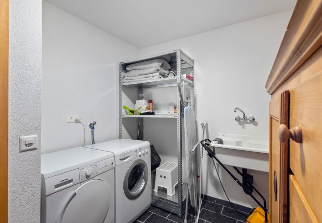 Villetta a Haute-Nendaz - AlpenRose - 8 pers - près des pistes Villetta a Haute-Nendaz - AlpenRose - 8 pers - près des pistes