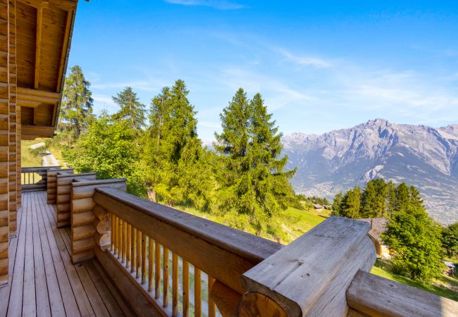 Villetta a Haute-Nendaz - AlpenRose - 8 pers - près des pistes Villetta a Haute-Nendaz - AlpenRose - 8 pers - près des pistes