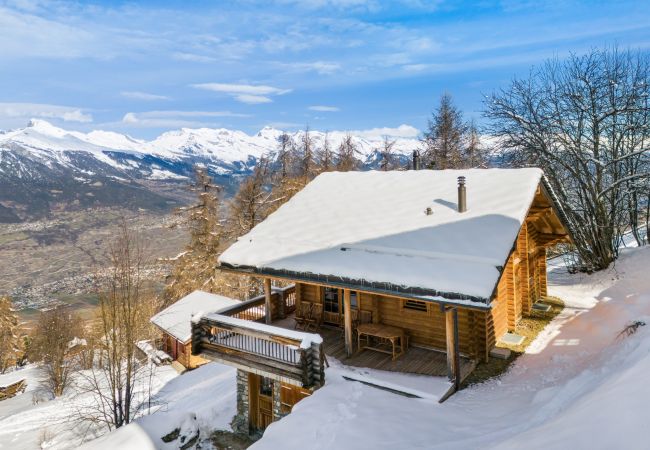 Villetta a Haute-Nendaz - AlpenRose - 8 pers - près des pistes