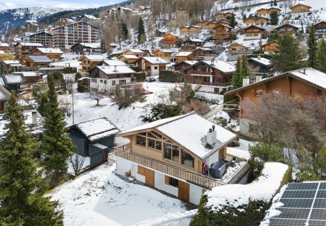 Villetta a Haute-Nendaz - Les 4 Abeilles - 6 pers - bien aménagé Villetta a Haute-Nendaz - Les 4 Abeilles - 6 pers - bien aménagé