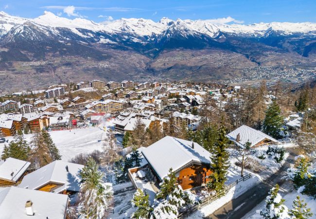 Villetta a Haute-Nendaz - Le Pacha - 6 pers - près des pistes Villetta a Haute-Nendaz - Le Pacha - 6 pers - près des pistes
