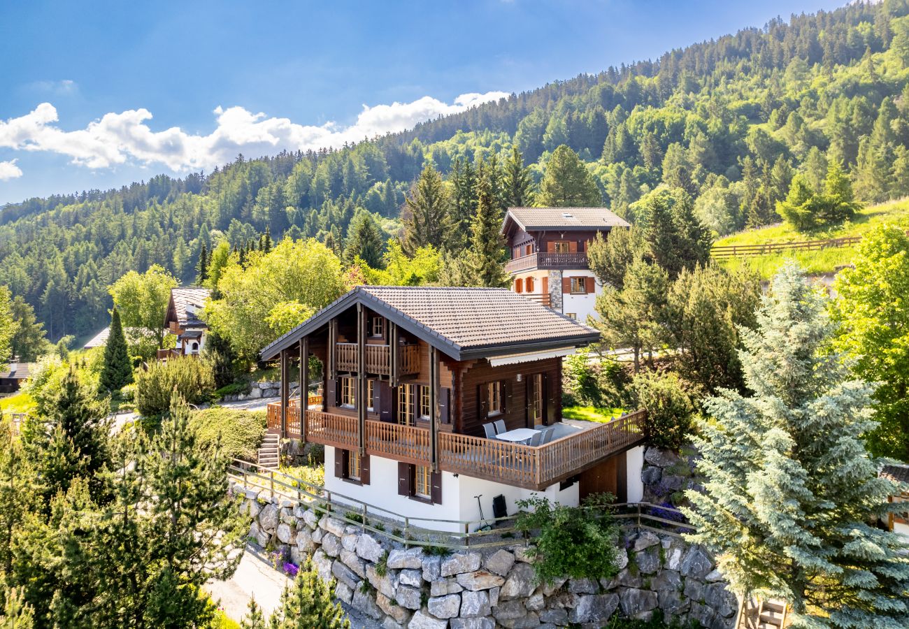 Villetta a Haute-Nendaz - Le Pacha - 6 pers - près des pistes