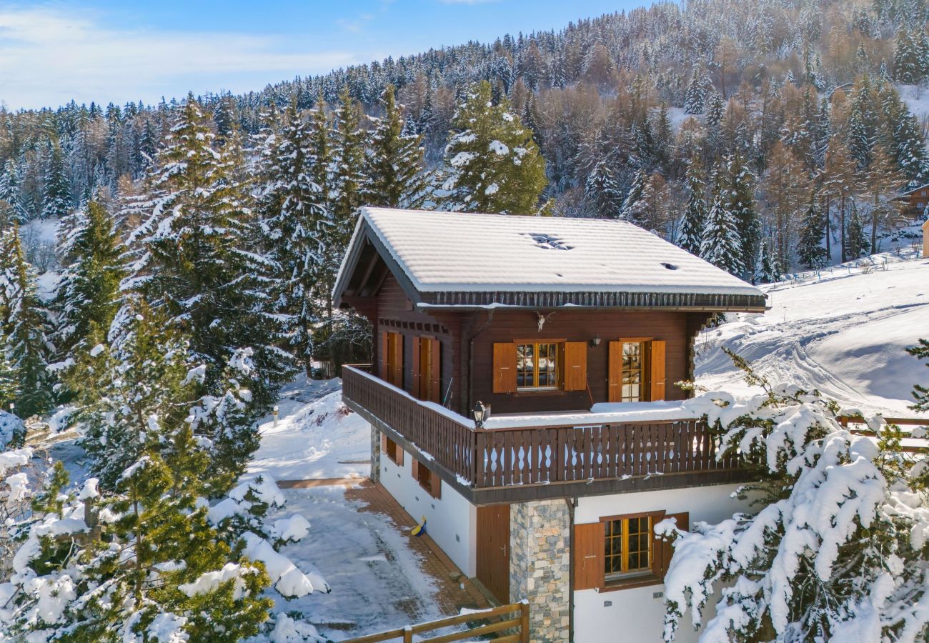Villetta a Haute-Nendaz - Gisèle - 8 pers - près des pistes