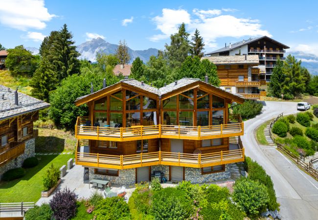  a Haute-Nendaz - Les Cristaux A - 9 pers - très bon standing