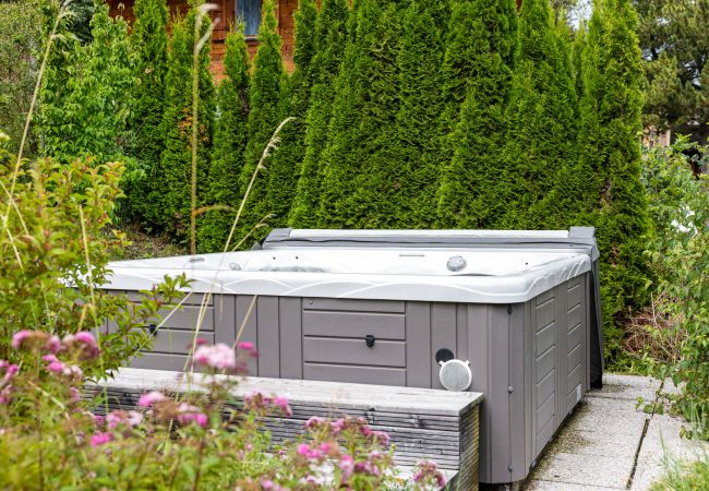 Villetta a Haute-Nendaz - Karuda - 12 pers - jacuzzi et sauna Villetta a Haute-Nendaz - Karuda - 12 pers - jacuzzi et sauna