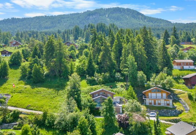 Villetta a Haute-Nendaz - Marella - 8 pers - jacuzzi Villetta a Haute-Nendaz - Marella - 8 pers - jacuzzi